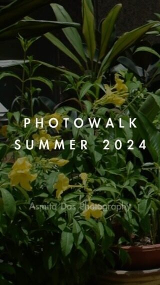 Instagram post from asmitabd_photography. This post is in position 4.